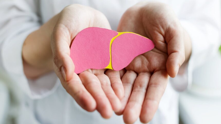 World Hepatitis Day 2025: Gastroenterologist shares tips for hepatitis management and treatment