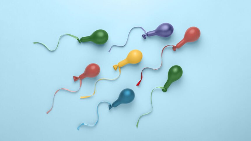 What Is the Male Orgasm?