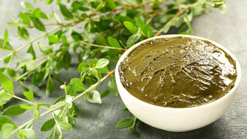 How henna, indigo, and amla can improve your hair health and colour naturally!
