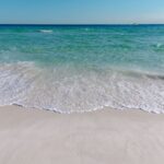 Is Flesh-Eating Bacteria Lurking at Your Favorite Swimming Spot?