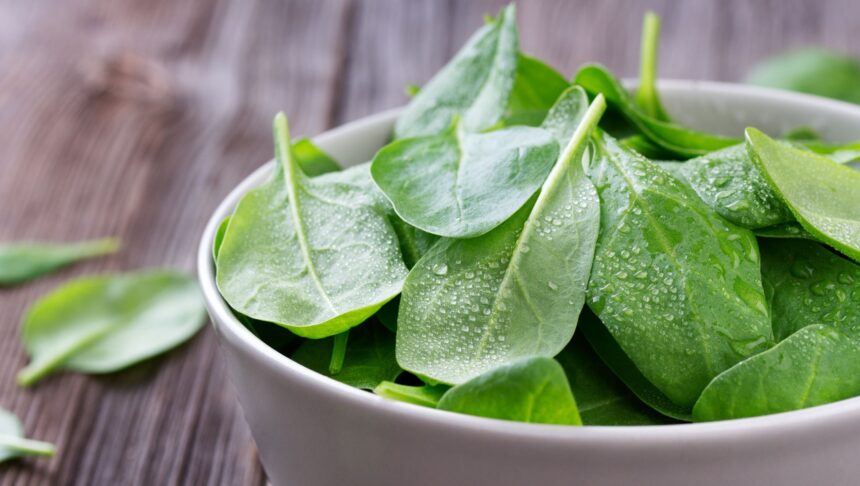 Diabetes-Friendly Foods to Help Combat Iron-Deficiency Anemia