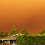 Wildfire Smoke Linked to Reduced Sperm Quality