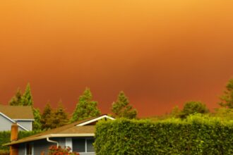 Wildfire Smoke Linked to Reduced Sperm Quality