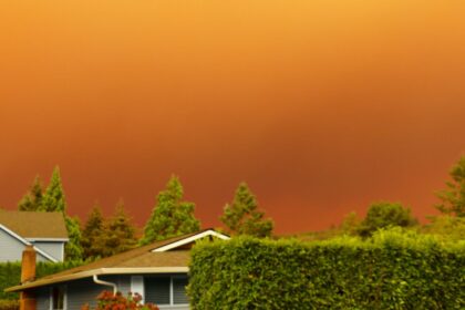 Wildfire Smoke Linked to Reduced Sperm Quality