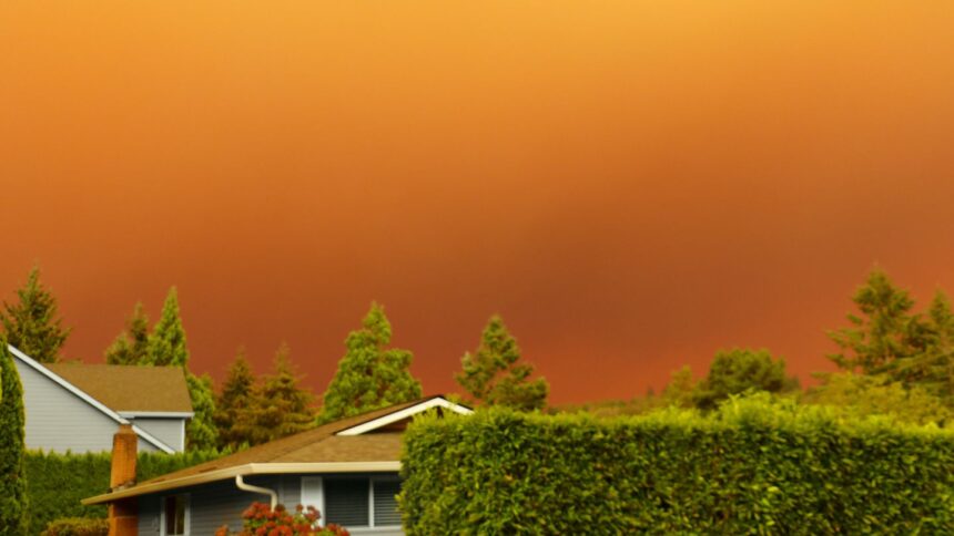 Wildfire Smoke Linked to Reduced Sperm Quality