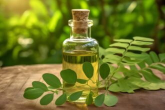 Moringa oil: All about this must-have for nourished skin