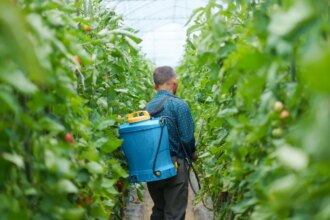 New EPA-Approved Pesticides Stir Controversy