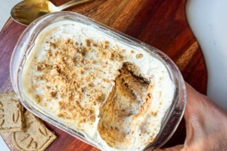 2-Ingredient Yogurt Cheesecake (Viral Recipe)