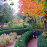 12 Outdoor Micro Adventures For February That Take Less Than An Hour