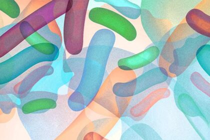 Who Should Take Probiotics: 5 Potential Benefits