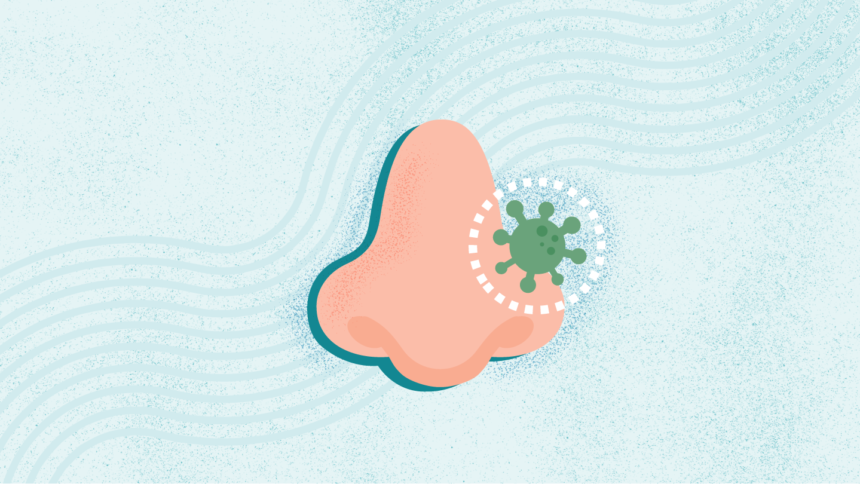 What Is a Sinus Infection?