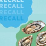 Oysters and Other Shellfish Recalled in 4 States Due to Norovirus Risk