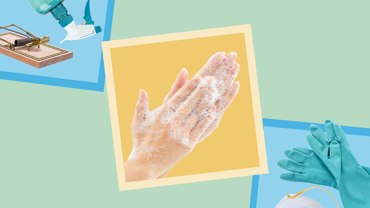 How to Protect Yourself From Hantavirus: An Expert Guide
