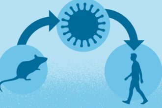 What Is Hantavirus?