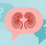 IgA Nephropathy and Kidney Transplantation: Finding a Donor