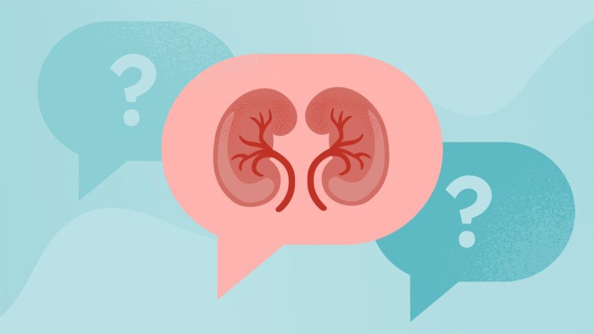 IgA Nephropathy and Kidney Transplantation: Finding a Donor